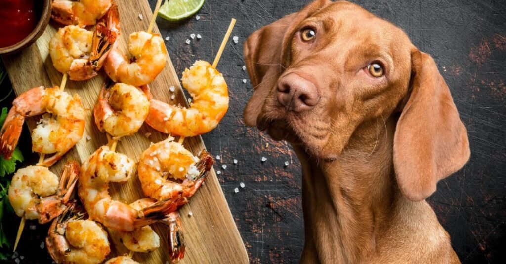 Dogs Can Eat Shrimp?