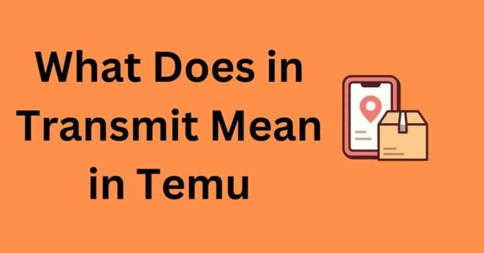 What Does In Transmit Mean in Temu: Shipping Status Guide